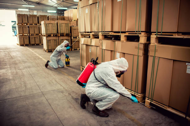 Best Pest Inspection Near Me  in Kinsey, AL