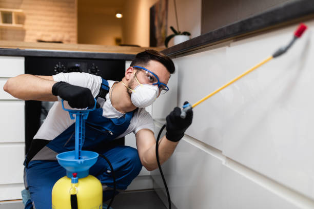 Best Affordable Pest Control Services  in Kinsey, AL