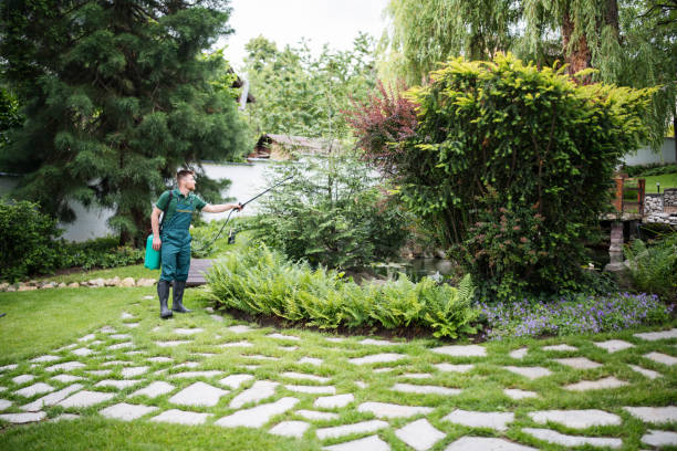 Best Ant Control Services  in Kinsey, AL