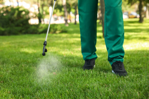 Best Pest Inspection Near Me  in Kinsey, AL