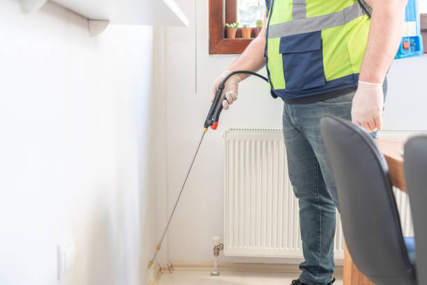 Best Termite Control Services  in Kinsey, AL