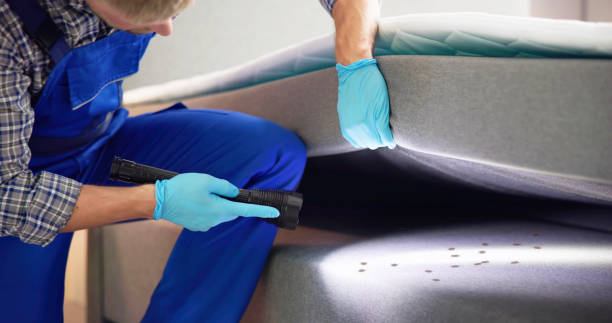 Best Pest Control Treatment  in Kinsey, AL