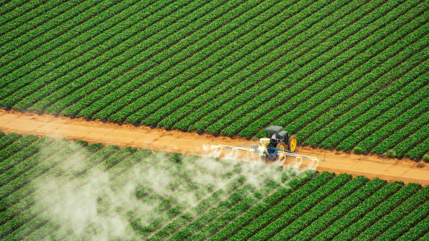 Best Wasp Removal Services  in Kinsey, AL