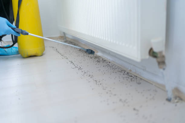 Reliable Kinsey, AL Pest Control Solutions